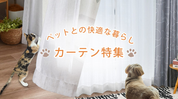 pet_top1