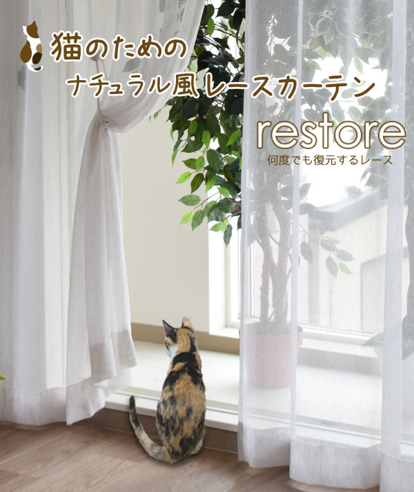 restore_top1
