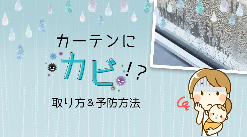 ショック！カーテンのカビが気になる人必見。取り方＆予防方法を徹底解説します。