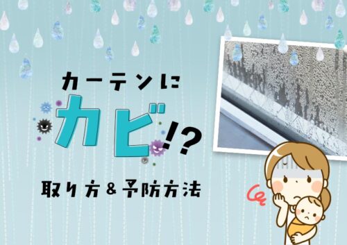 カビ対策