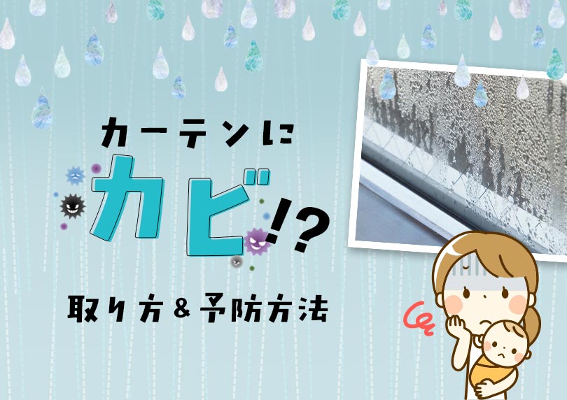 ショック！カーテンのカビが気になる人必見。簡単な落とし方から予防方法まで徹底解説！