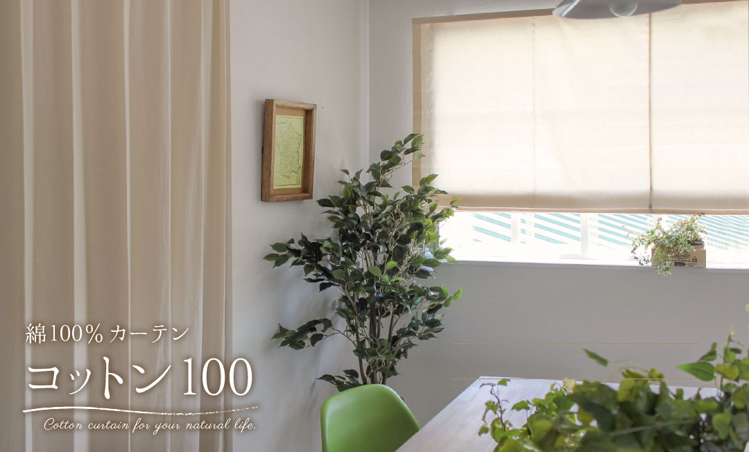 コットン100