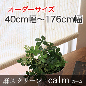 ڥ륹꡼㥹꡼֥ץ40cm176cm