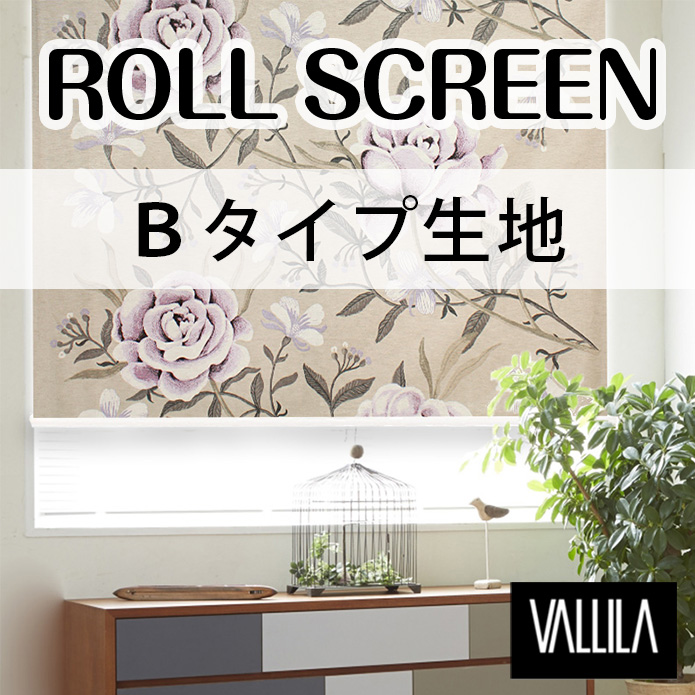 ̲륹꡼BϡVALLILA