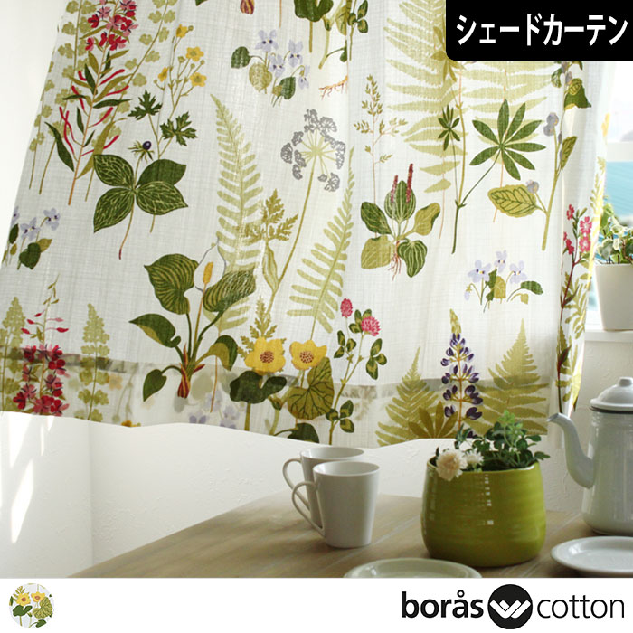 ̲ɥƥۥե󥰥ȥboras cotton