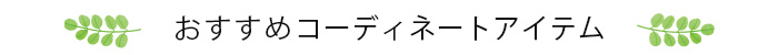 おすすめアイテム