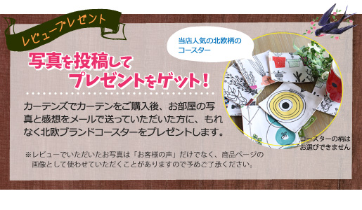 レビュープレゼント