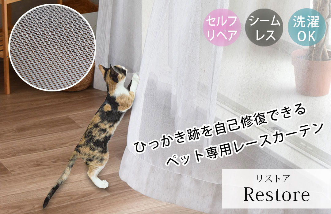 ꥹȥ