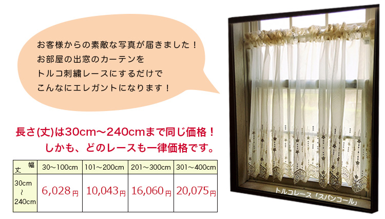 ѥ󥳡롢ɽ